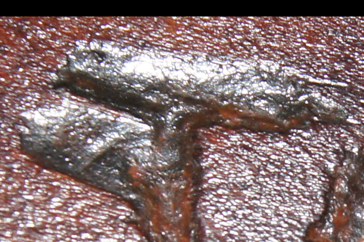 Osprey Talon Carving